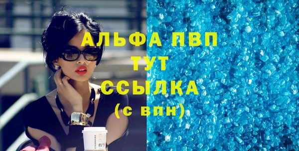 прущие грибы Магадан
