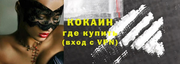 прущие грибы Магадан