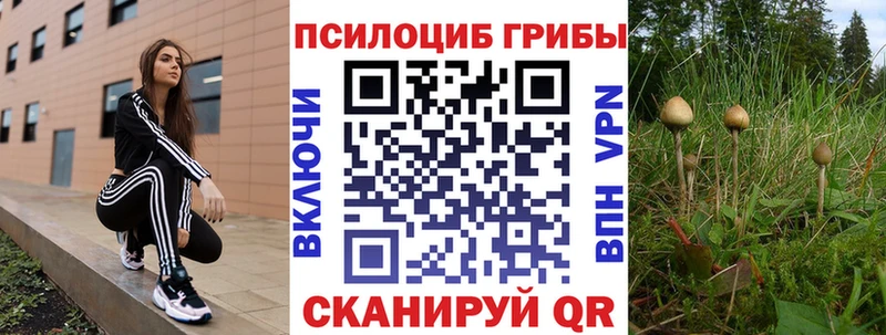 MEGA ТОР  Урус-Мартан  Псилоцибиновые грибы Psilocybe  как найти закладки 